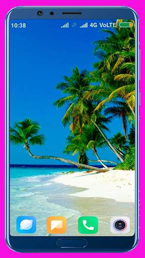 Palm Tree Wallpaper screenshot 7
