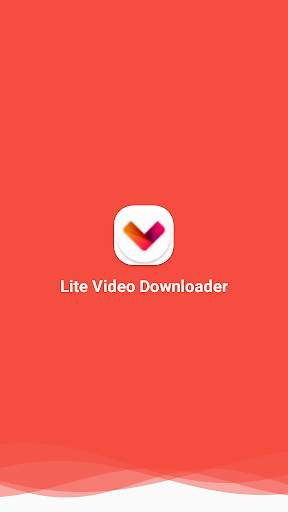 Lite Video Downloader screenshot 1
