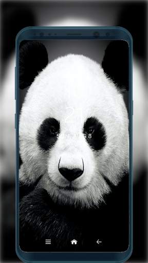 Cute Panda Wallpapers HD for Android screenshot 6
