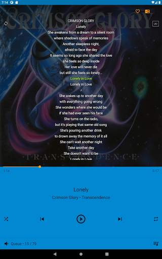 Musicat - Basic Music Player screenshot 19