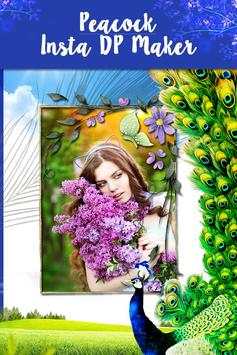 Peacock DP Photo Frames 5 تصوير الشاشة