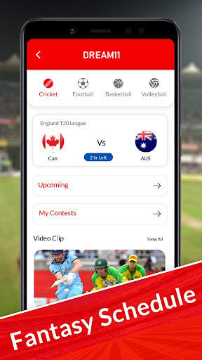 Dream Cricket 11 App Download Original Guide screenshot 2
