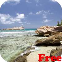 Beautiful beach Video LWP