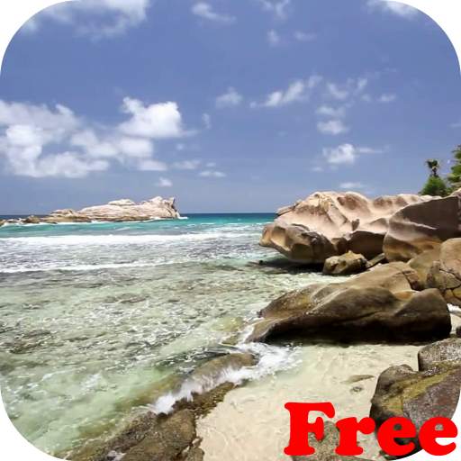 Beautiful beach Video LWP 2.0