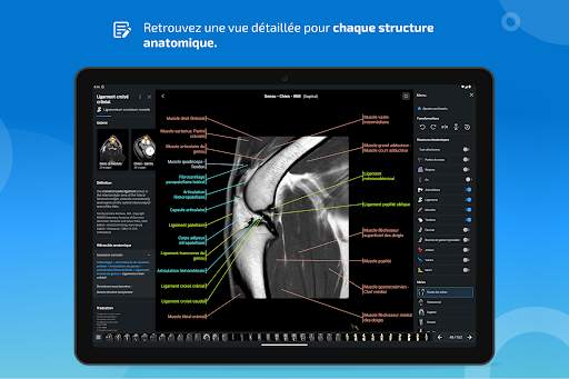 vet-Anatomy screenshot 13