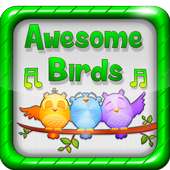 Birds Calls Sounds Ringtones