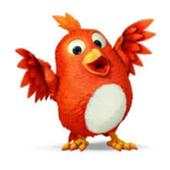 Crazy Bird 12