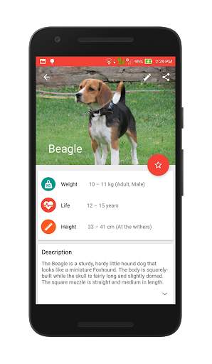 Dog Lovers screenshot 2