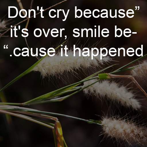Quotes and Status screenshot 3