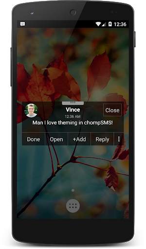 Dark Knight Theme (chomp) screenshot 3