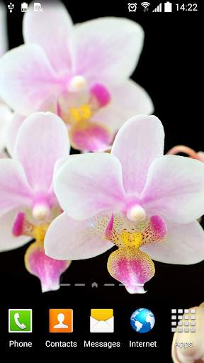 Flower Live Wallpaper screenshot 7