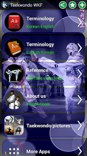 Taekwondo WTF screenshot 2