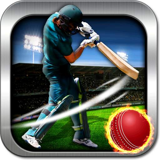 Cricket Champs League 1.3