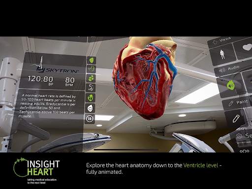 INSIGHT HEART Lite screenshot 9