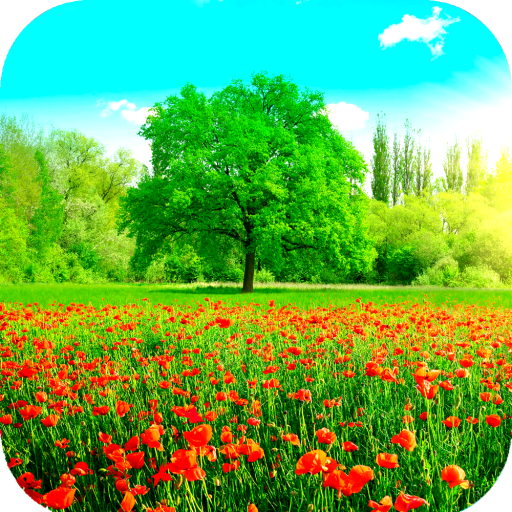 Spring Wallpaper HD icon