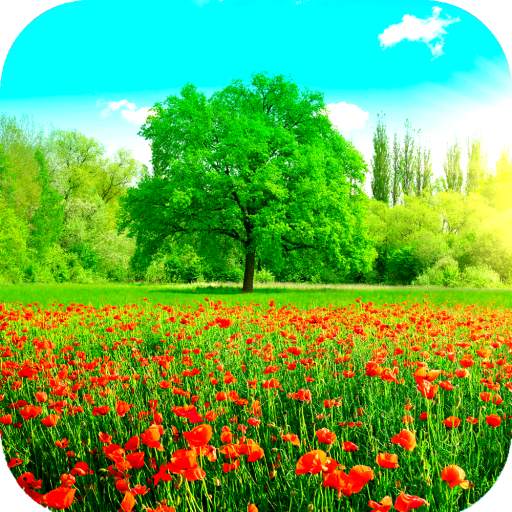 Spring Wallpaper HD 1.14