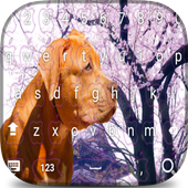 American pitbull Sakura keyboard theme icon
