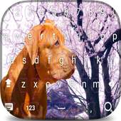 American pitbull Sakura keyboard theme 6.9