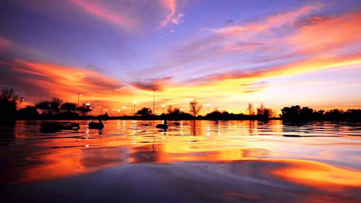 Download Wallpaper HD screenshot 10