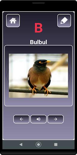 A to Z Birds Name screenshot 2