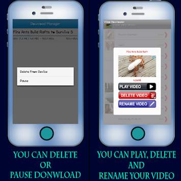 Video Downloader and Editor screenshot 3