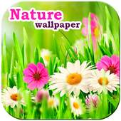 Free Nature Wallpaper 1.0.1