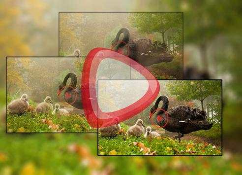 Mp4 Video Player screenshot 5