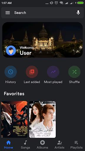 KoKo  Player: Power and Beauty music player screenshot 2