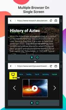 Split Dual Browser screenshot 3