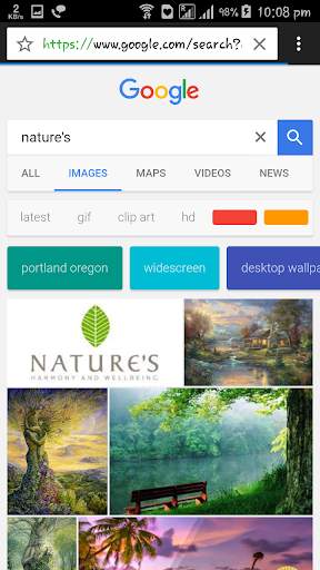 Browser screenshot 4