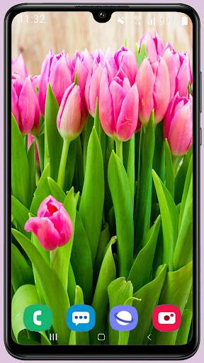 Tulips Wallpaper Best HD screenshot 2