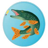 Fishing Fish Counter -  fishing app icon