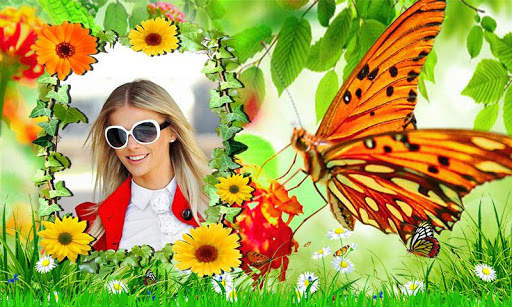 Butterfly Photo Frames HD screenshot 3