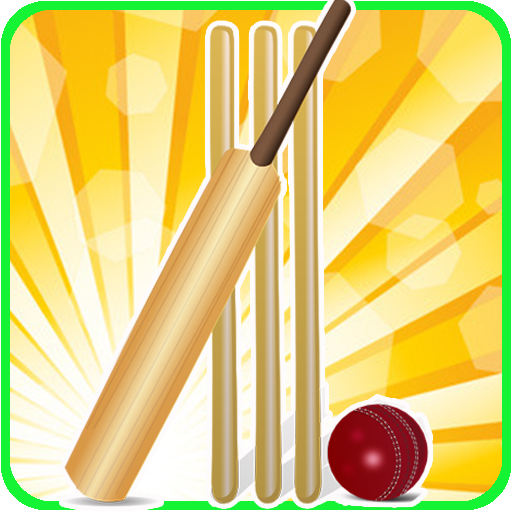 T20 Cricket Blast 2014 icon