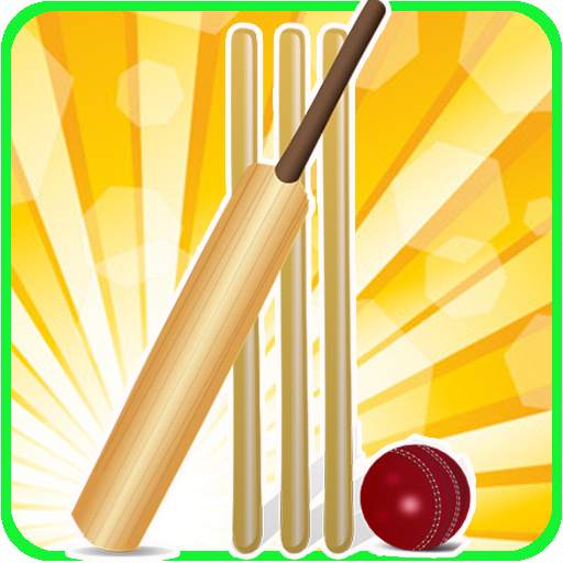 T20 Cricket Blast 2014 1.1