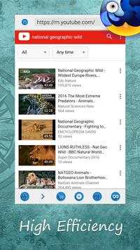 Browser 2018 screenshot 2