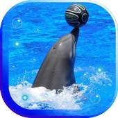 Dolphins Sound live wallpaper 1.0