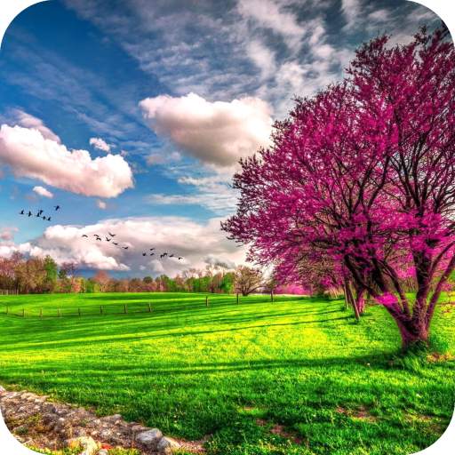 Scenery Live Wallpaper Best HD 1.07