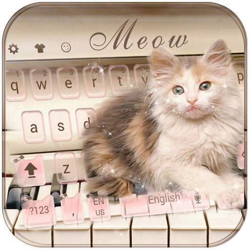 Cute Cat Live Wallpaper Theme 10002000