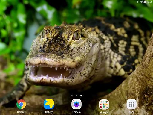 Crocodile Live Wallpaper screenshot 10