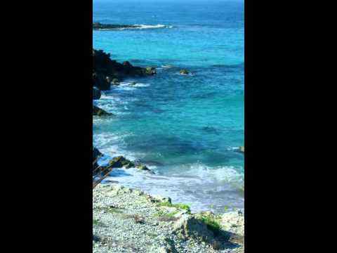 Beach Video Live Wallpaper screenshot 1