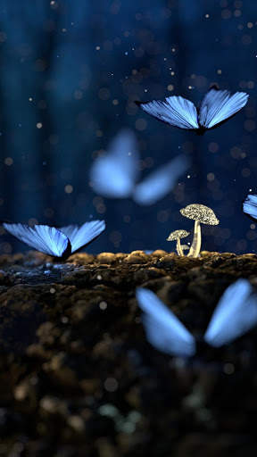 Nature Live Wallpapers | HD 4K screenshot 3