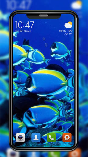 Magic Touch KoiFish LWP screenshot 3