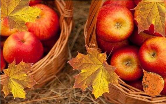 Apples Autumn live wallpaper screenshot 6