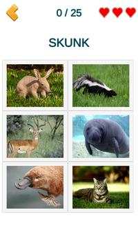 Animals: quiz. Mammals, Birds and Fish screenshot 5