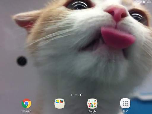 Cat Lick Screen Live Wallpaper screenshot 10