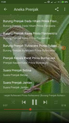 Suara Burung Prenjak Betina Pikat screenshot 5