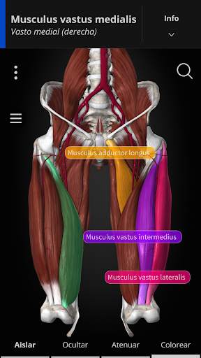 Anatomyka - Anatomía 3D screenshot 2