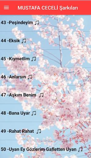 Mustafa Ceceli (internetsiz) screenshot 6