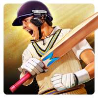 Cricket World Champions logo